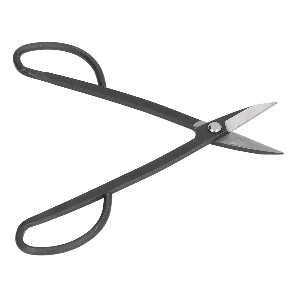 Forbici per bonsai in acciaio  - Concave Branch Cutter recensione e prezzo