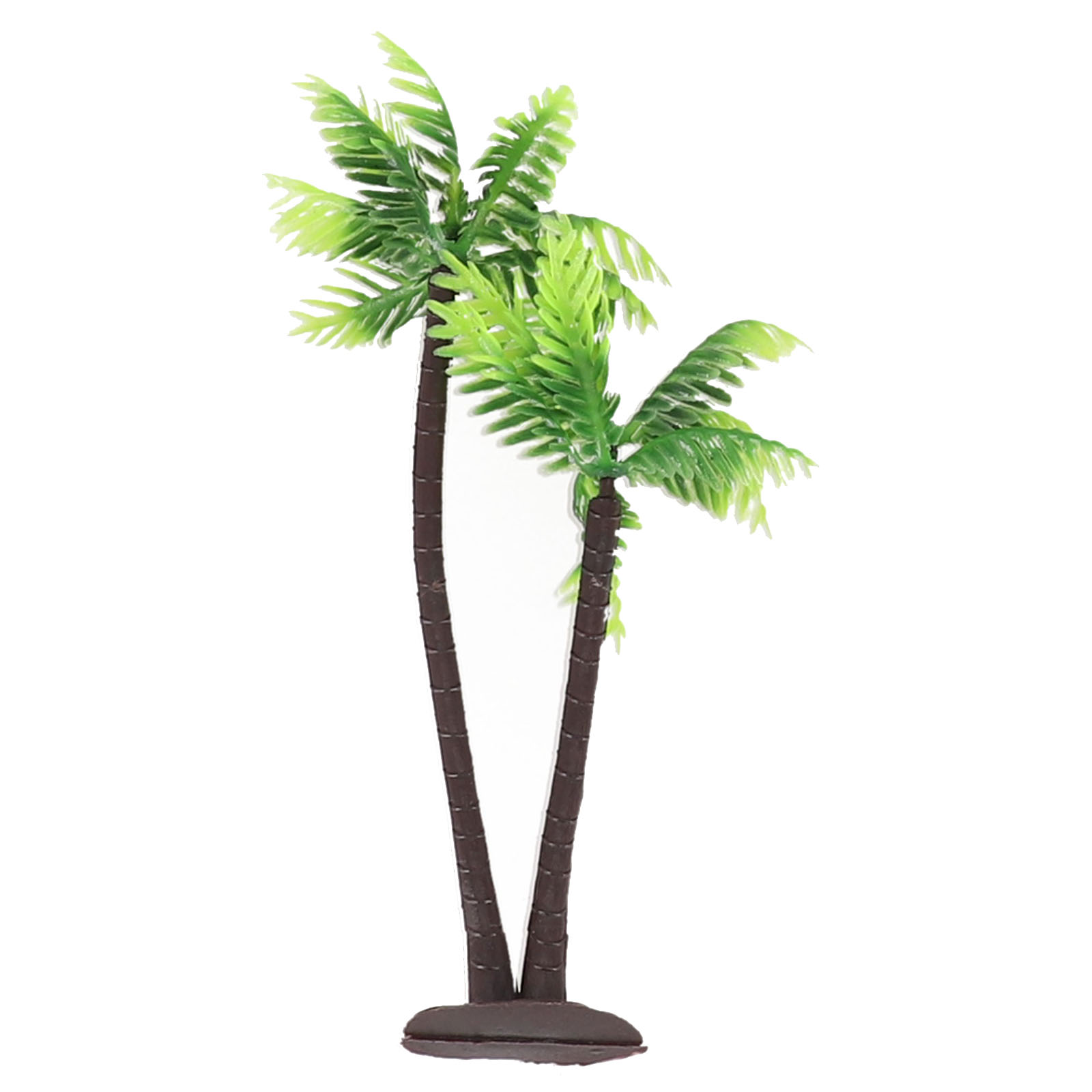 5 Pezzi di Mini Palme di Cocco - Bonsai Garden Set Up recensione e prezzo