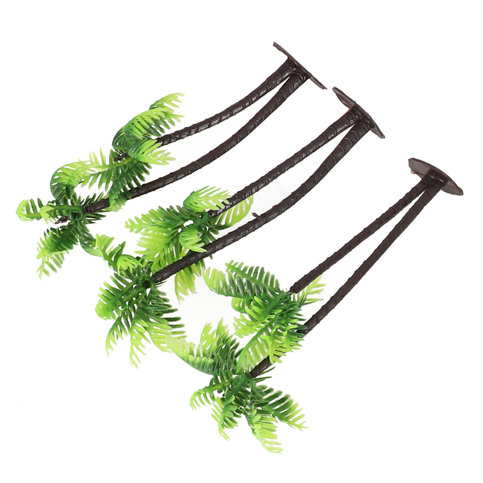 5 Pezzi di Mini Palme di Cocco - Bonsai Garden Set Up recensione e prezzo