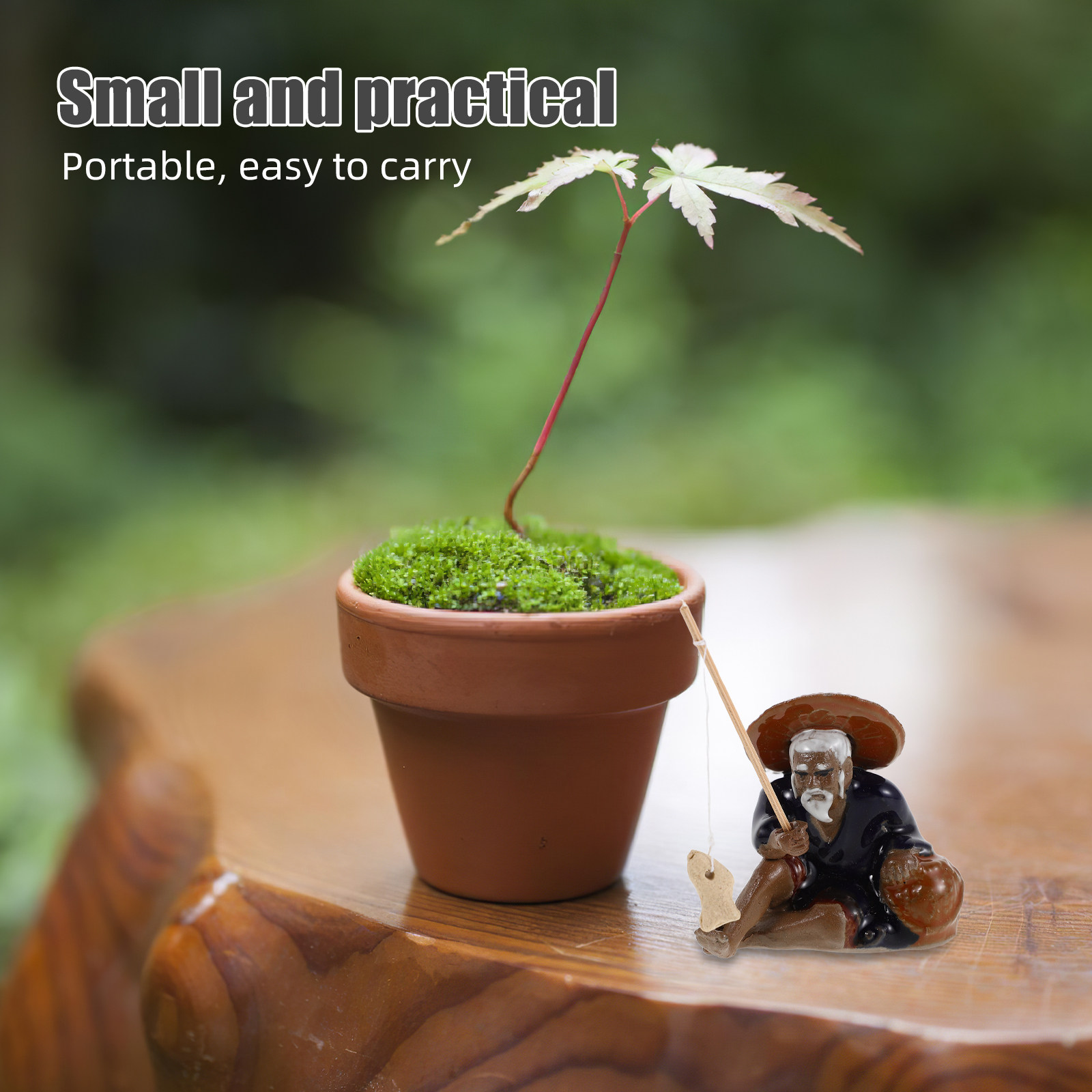 2 Pezzi Piccole Decorazioni Pa - Bonsai Garden Set Up recensione e prezzo