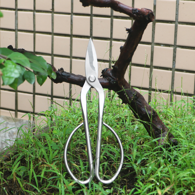 Cesoie da giardino interamente - Concave Branch Cutter recensione e prezzo