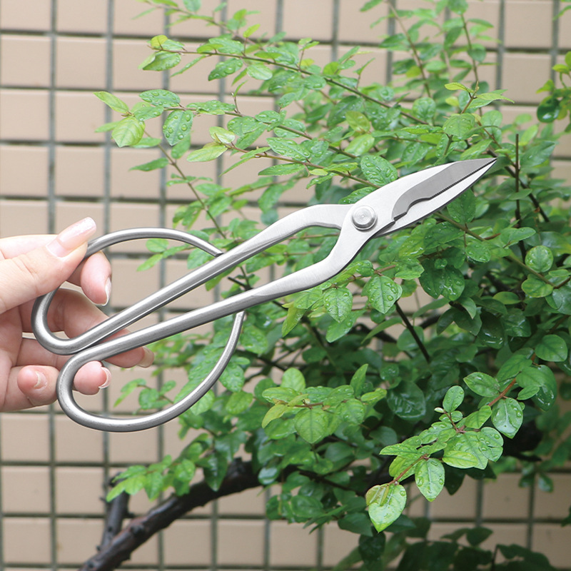 Cesoie da giardino interamente - Concave Branch Cutter recensione e prezzo