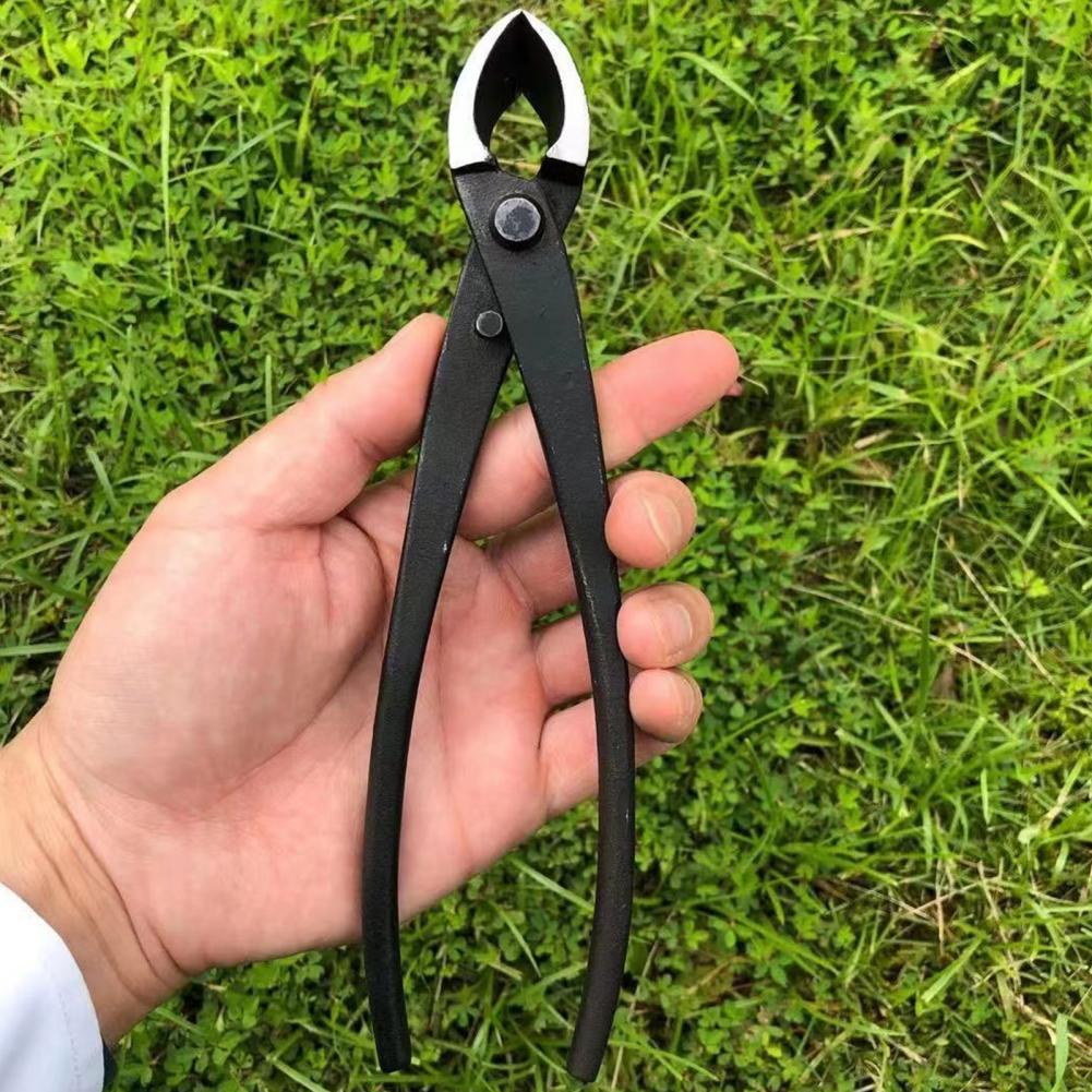 Bonsai Concavo Ramo Cutter Acc - Concave Branch Cutter recensione e prezzo
