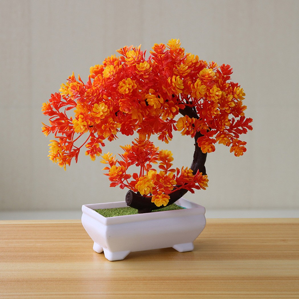 Ornamento bonsai in plastica i - Bonsai Garden Table recensione e prezzo