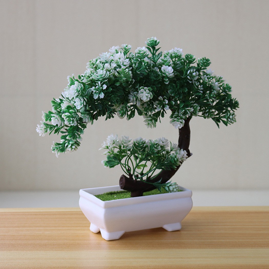 Ornamento bonsai in plastica i - Bonsai Garden Table recensione e prezzo