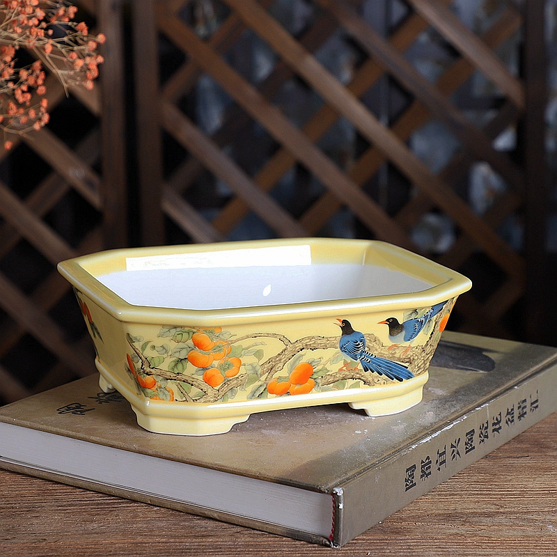 Vaso bonsai rettangolare in po - Bonsai Garden Table recensione e prezzo
