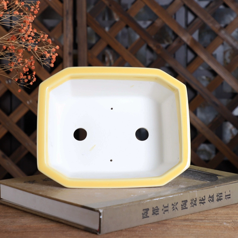 Vaso bonsai rettangolare in po - Bonsai Garden Table recensione e prezzo