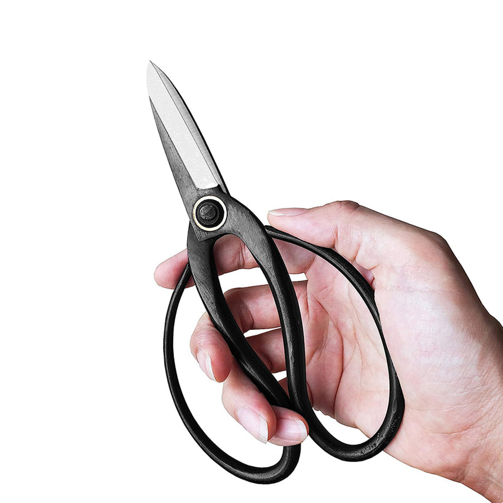 Forbici professionali per bons - Concave Branch Cutter recensione e prezzo
