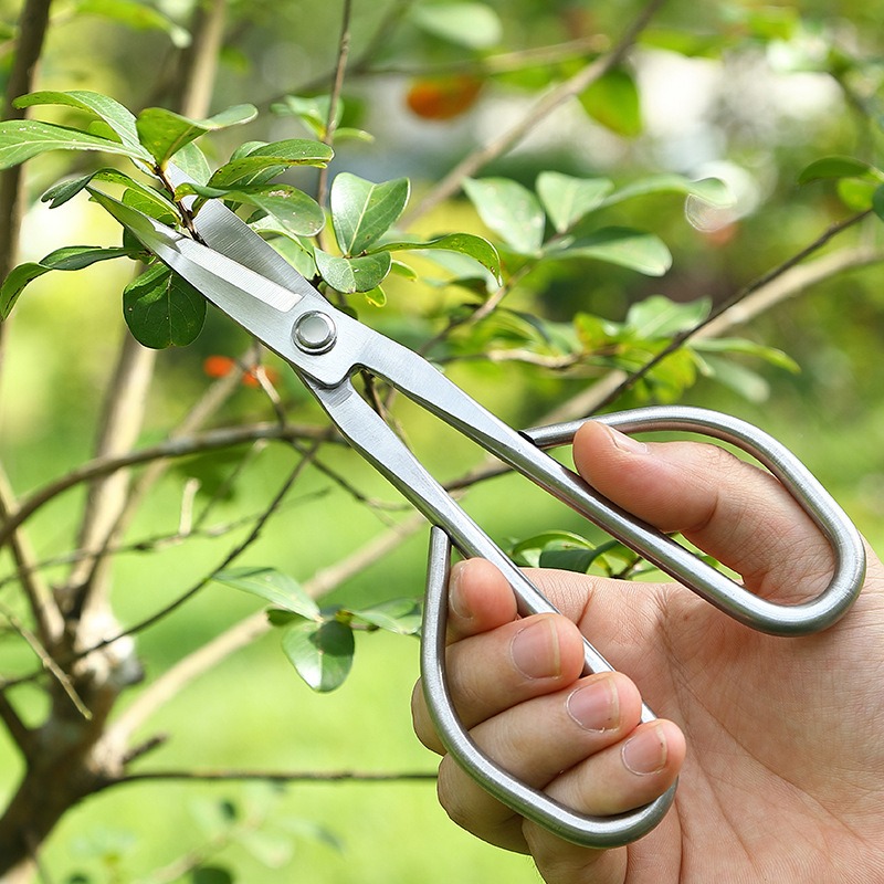 Forbici per foglie tenere Stru - Concave Branch Cutter recensione e prezzo