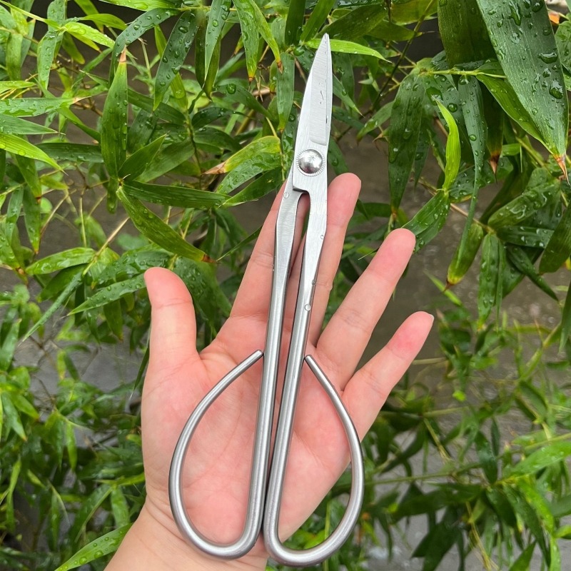 Forbici per foglie tenere Stru - Concave Branch Cutter recensione e prezzo