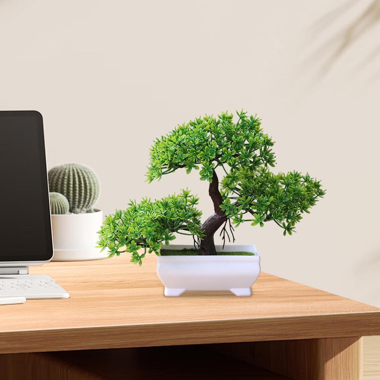 1/2 Pezzi Albero Bonsai Artifi - Bonsai Garden Table recensione e prezzo